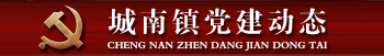 城南镇党建动态