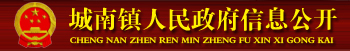 城南镇人民政府信息公开