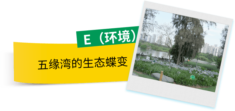 关卡4