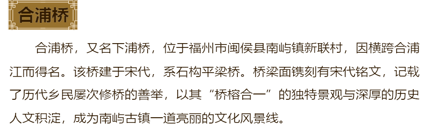 合浦桥介绍